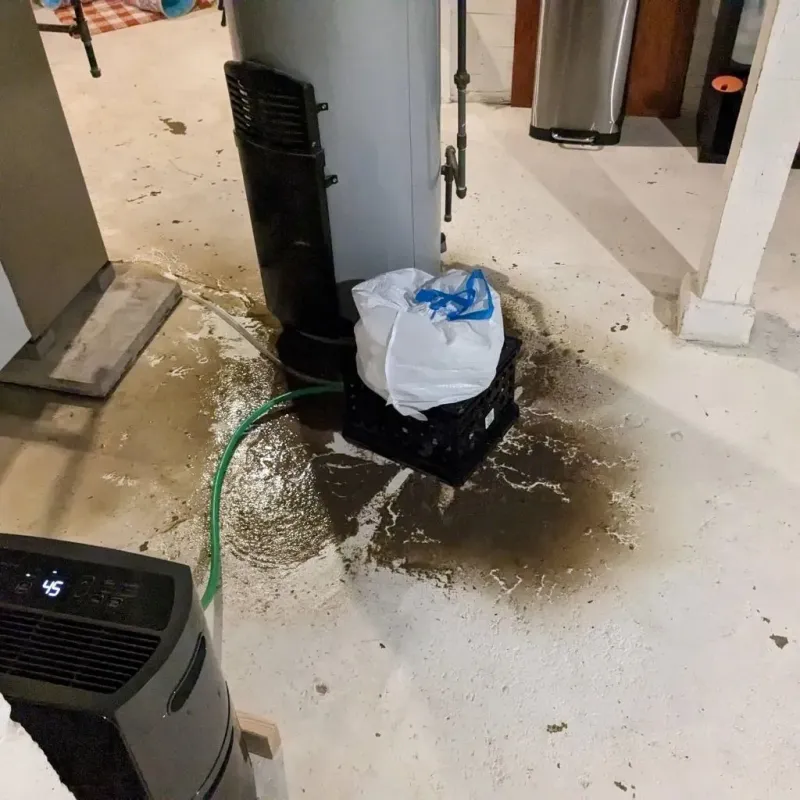 Sewage Backup Cleanup Service in Lehigh County, PA